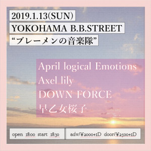 2019.1.13
