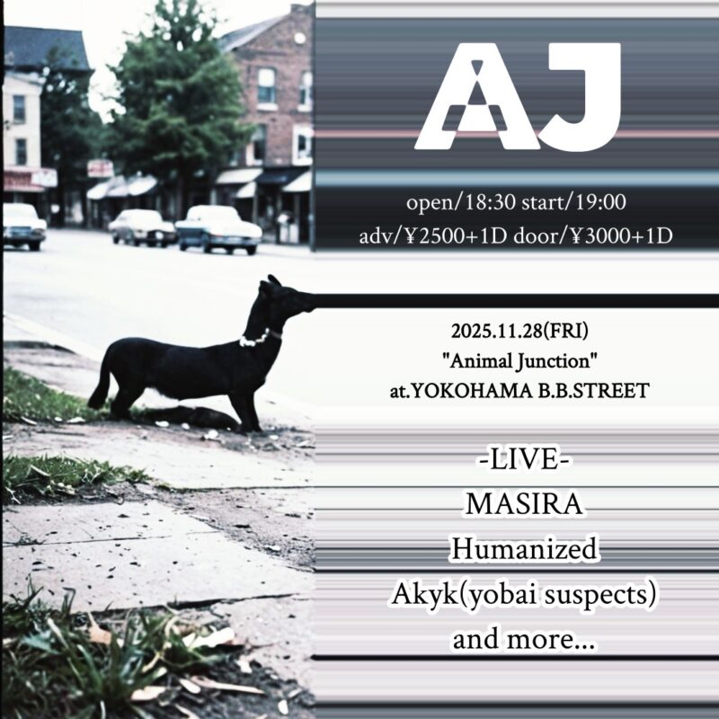 “Animal Junction”